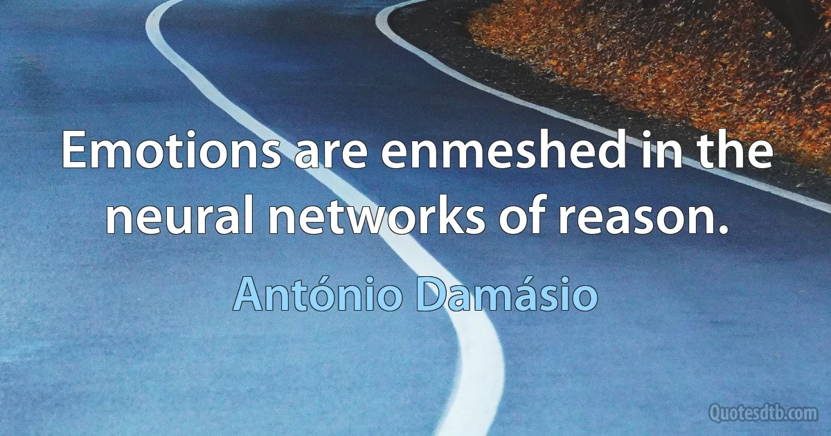 Emotions are enmeshed in the neural networks of reason. (António Damásio)