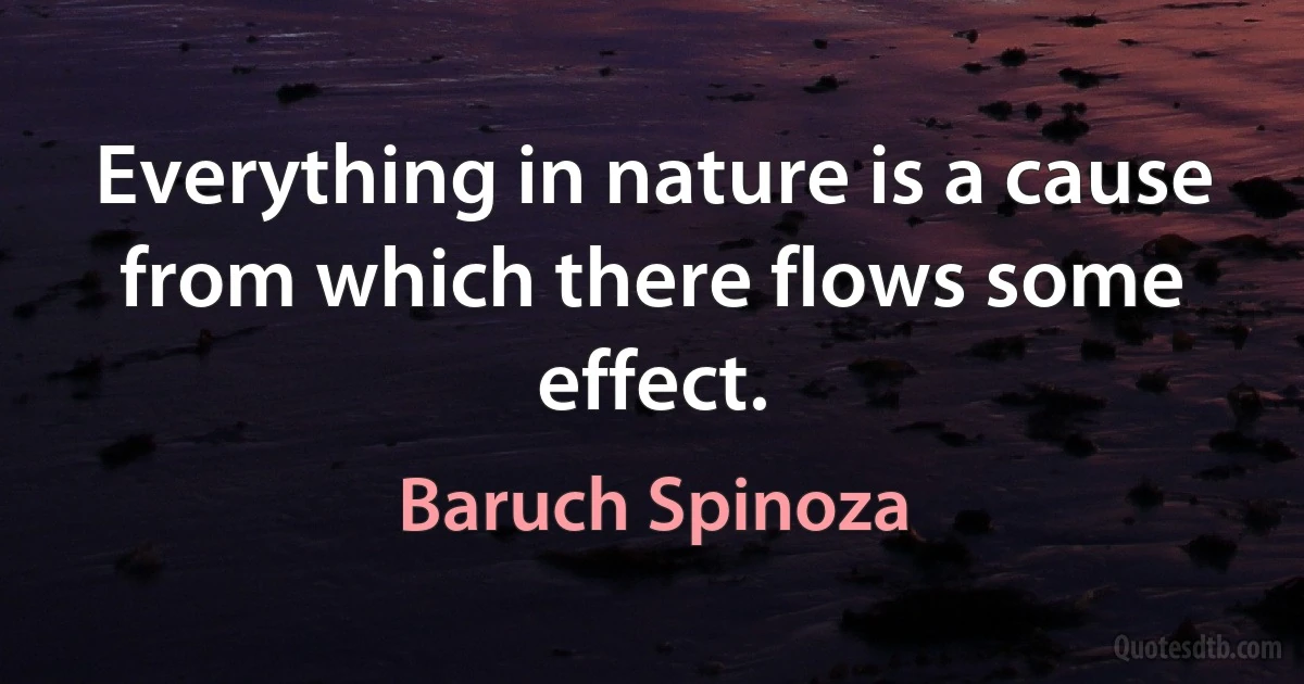 Everything in nature is a cause from which there flows some effect. (Baruch Spinoza)