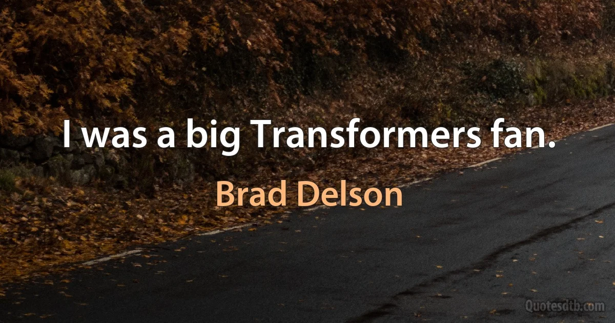 I was a big Transformers fan. (Brad Delson)