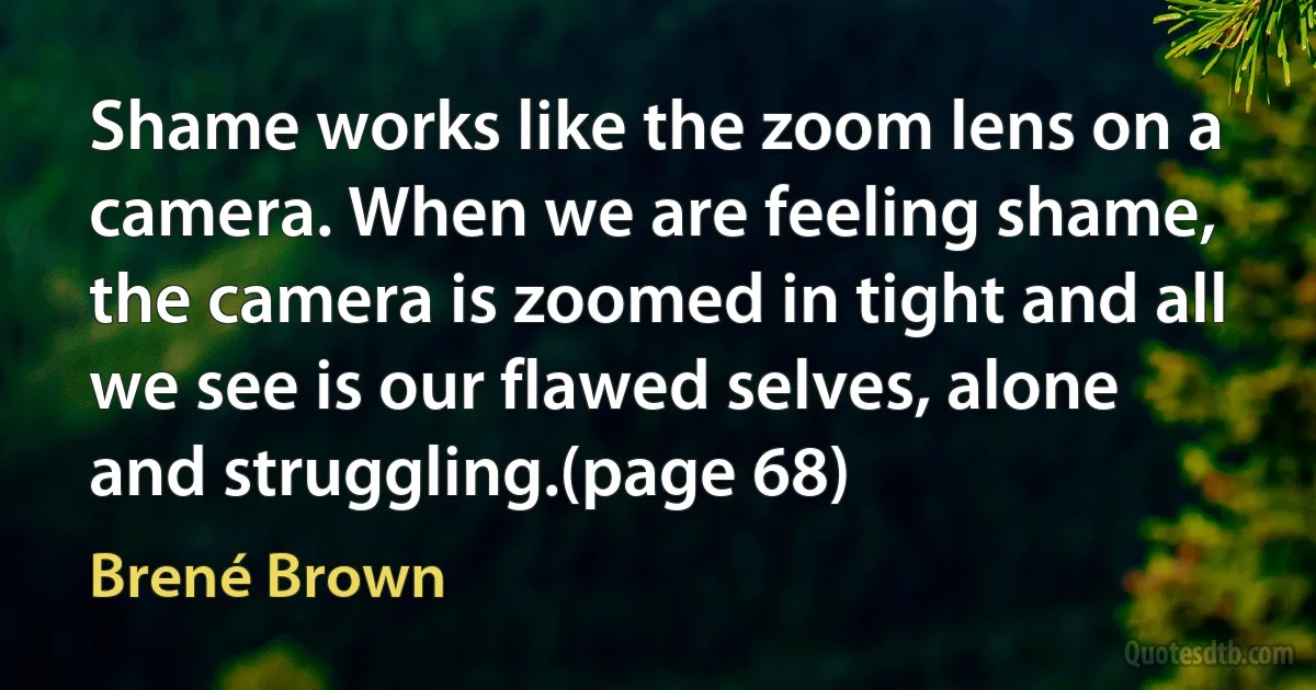 Shame works like the zoom lens on a camera. When we are feeling shame, the camera is zoomed in tight and all we see is our flawed selves, alone and struggling.(page 68) (Brené Brown)