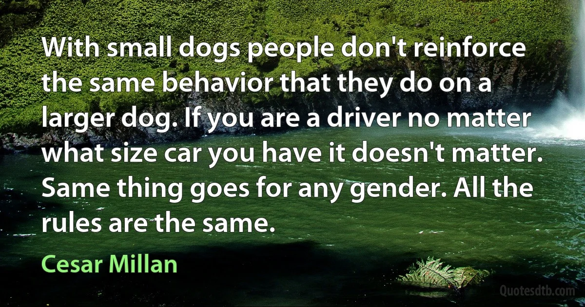 With small dogs people don't reinforce the same behavior that they do on a larger dog. If you are a driver no matter what size car you have it doesn't matter. Same thing goes for any gender. All the rules are the same. (Cesar Millan)