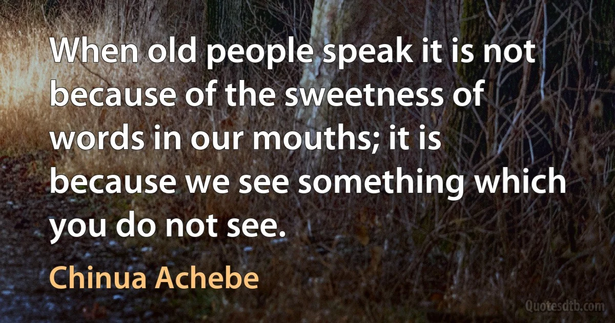 When old people speak it is not because of the sweetness of words in our mouths; it is because we see something which you do not see. (Chinua Achebe)