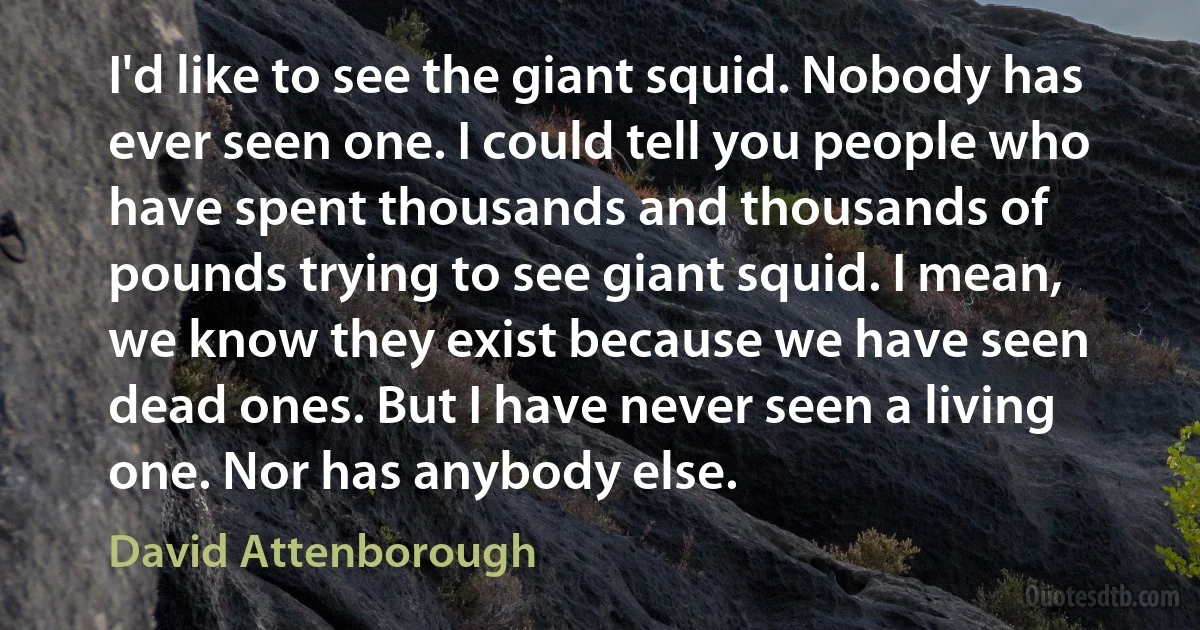 I'd like to see the giant squid. Nobody has ever seen one. I could tell you people who have spent thousands and thousands of pounds trying to see giant squid. I mean, we know they exist because we have seen dead ones. But I have never seen a living one. Nor has anybody else. (David Attenborough)