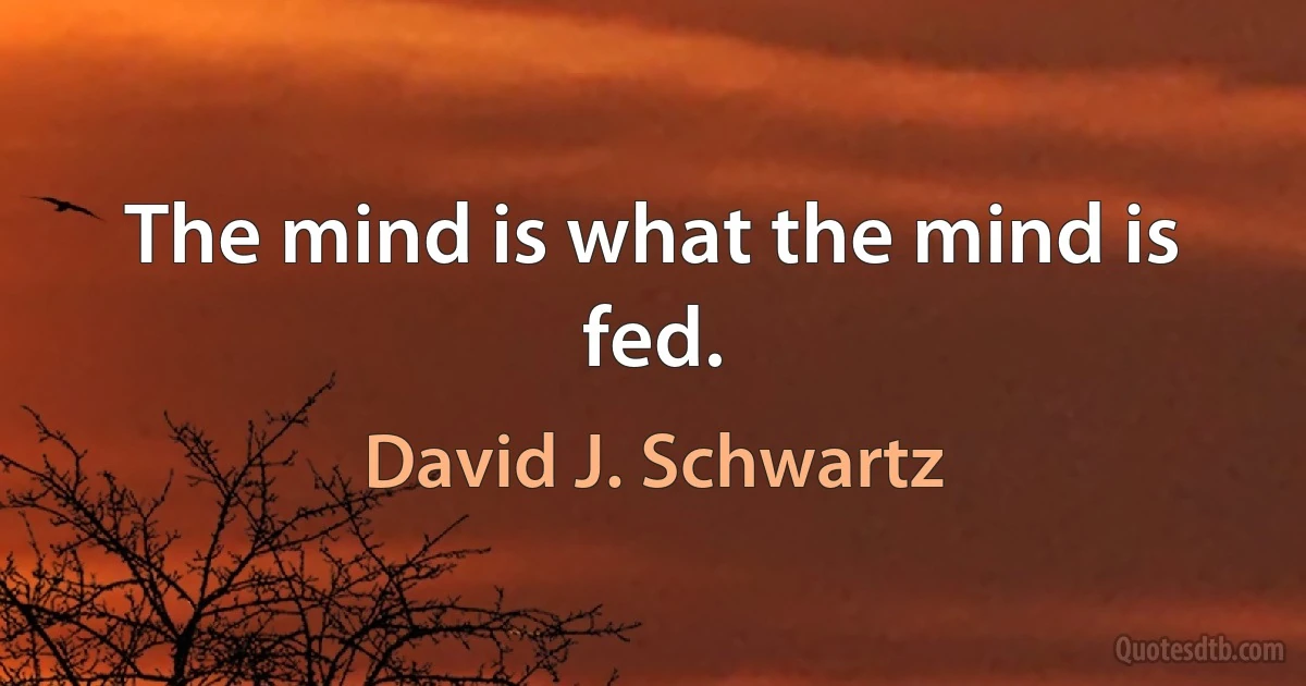 The mind is what the mind is fed. (David J. Schwartz)