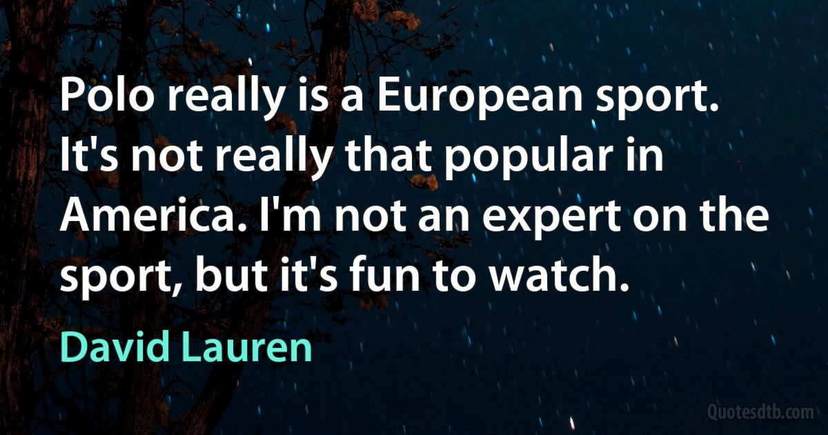 Polo really is a European sport. It's not really that popular in America. I'm not an expert on the sport, but it's fun to watch. (David Lauren)