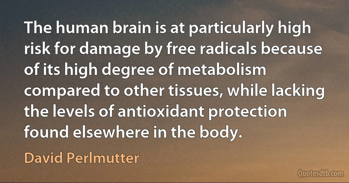 The human brain is at particularly high risk for damage by free radicals because of its high degree of metabolism compared to other tissues, while lacking the levels of antioxidant protection found elsewhere in the body. (David Perlmutter)