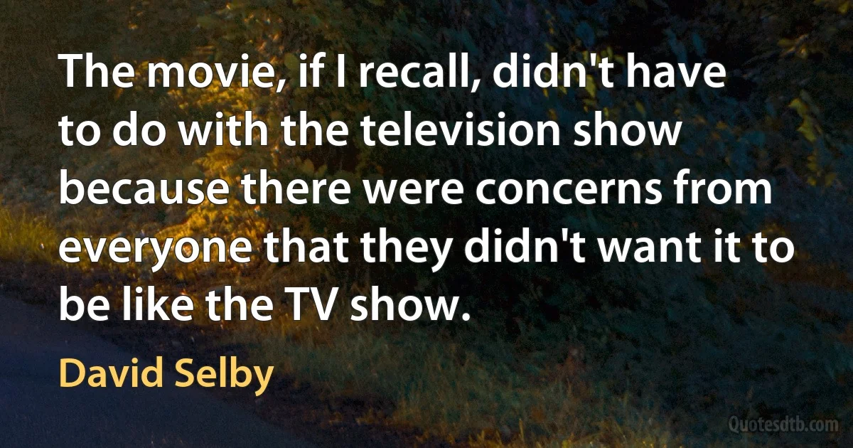 The movie, if I recall, didn't have to do with the television show because there were concerns from everyone that they didn't want it to be like the TV show. (David Selby)