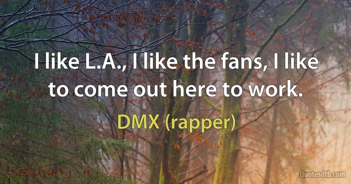 I like L.A., I like the fans, I like to come out here to work. (DMX (rapper))