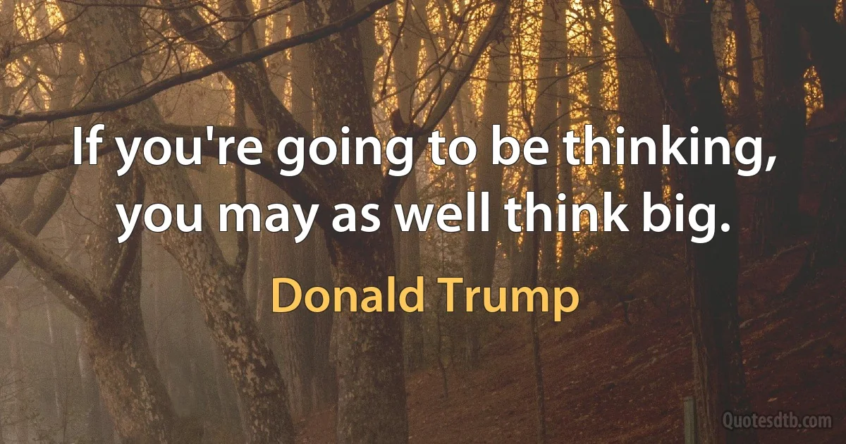 If you're going to be thinking, you may as well think big. (Donald Trump)