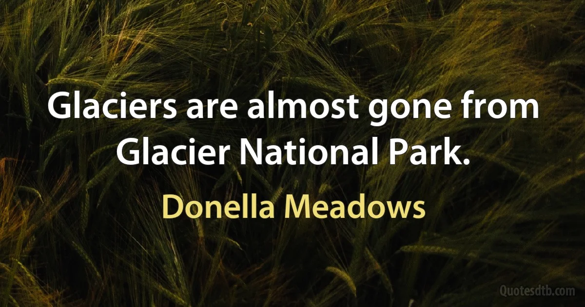 Glaciers are almost gone from Glacier National Park. (Donella Meadows)