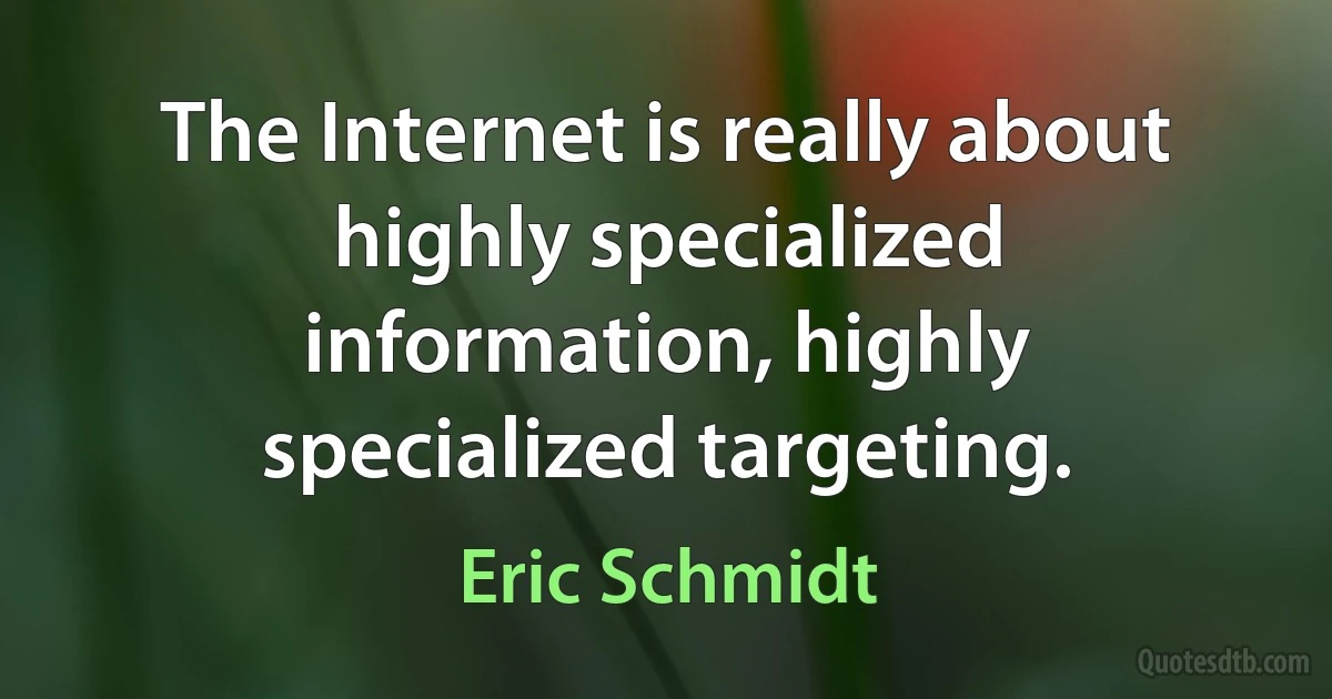 The Internet is really about highly specialized information, highly specialized targeting. (Eric Schmidt)