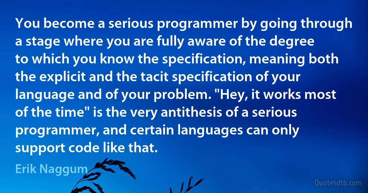 You become a serious programmer by going through a stage where you are fully aware of the degree to which you know the specification, meaning both the explicit and the tacit specification of your language and of your problem. "Hey, it works most of the time" is the very antithesis of a serious programmer, and certain languages can only support code like that. (Erik Naggum)