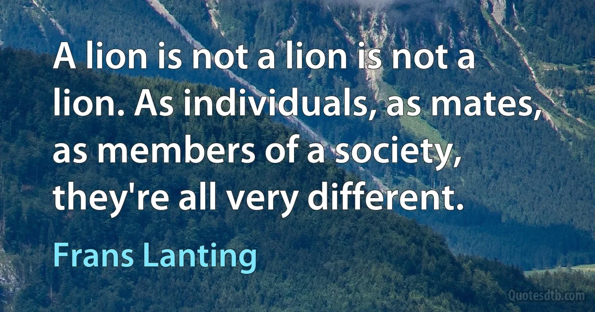 A lion is not a lion is not a lion. As individuals, as mates, as members of a society, they're all very different. (Frans Lanting)