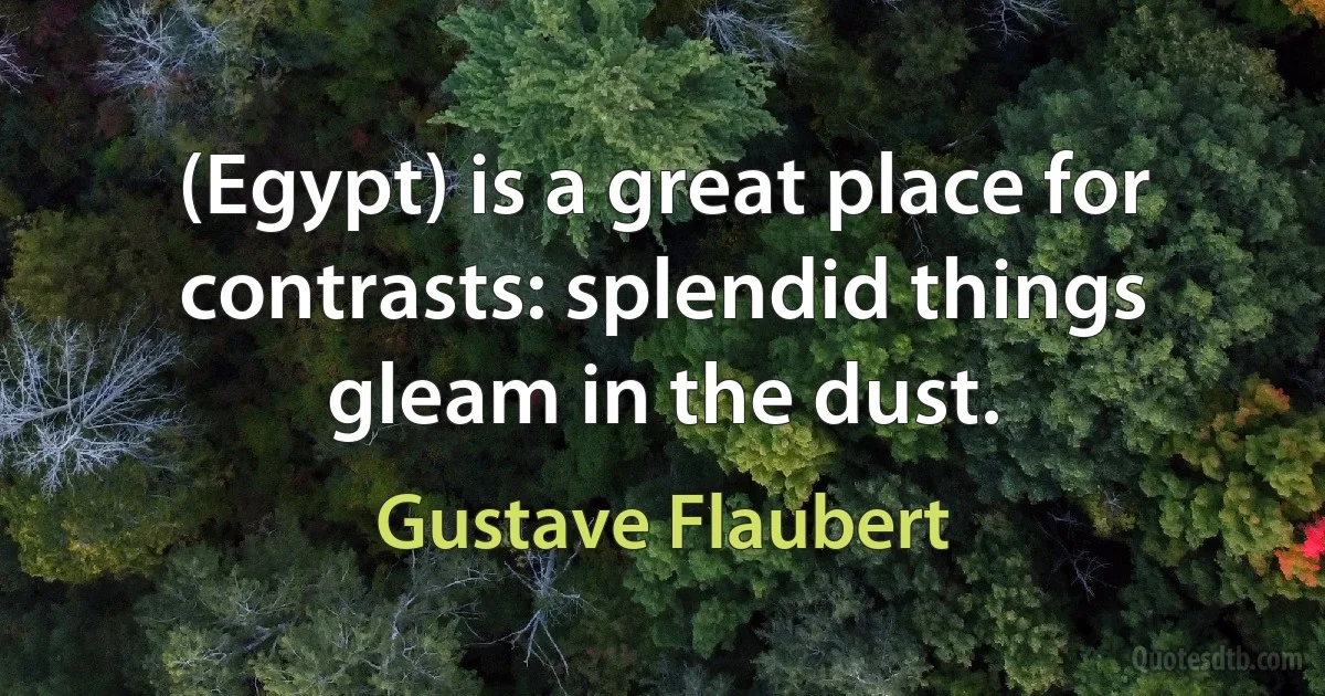 (Egypt) is a great place for contrasts: splendid things gleam in the dust. (Gustave Flaubert)