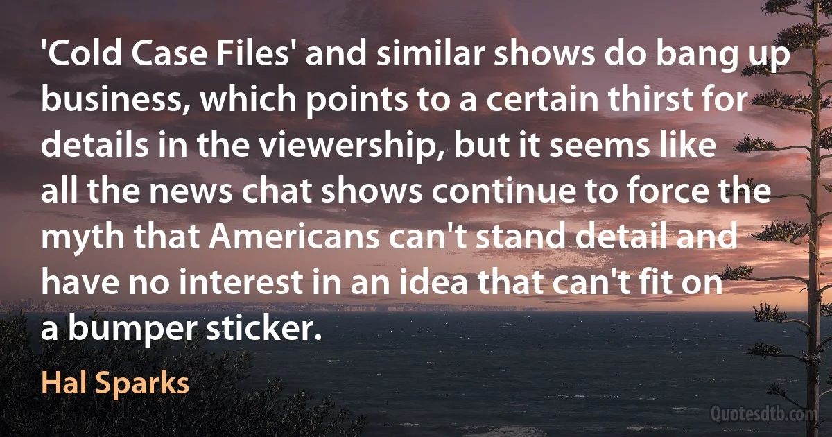 'Cold Case Files' and similar shows do bang up business, which points to a certain thirst for details in the viewership, but it seems like all the news chat shows continue to force the myth that Americans can't stand detail and have no interest in an idea that can't fit on a bumper sticker. (Hal Sparks)