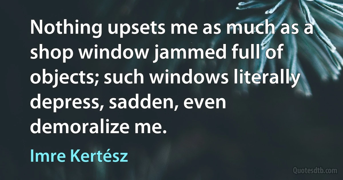 Nothing upsets me as much as a shop window jammed full of objects; such windows literally depress, sadden, even demoralize me. (Imre Kertész)