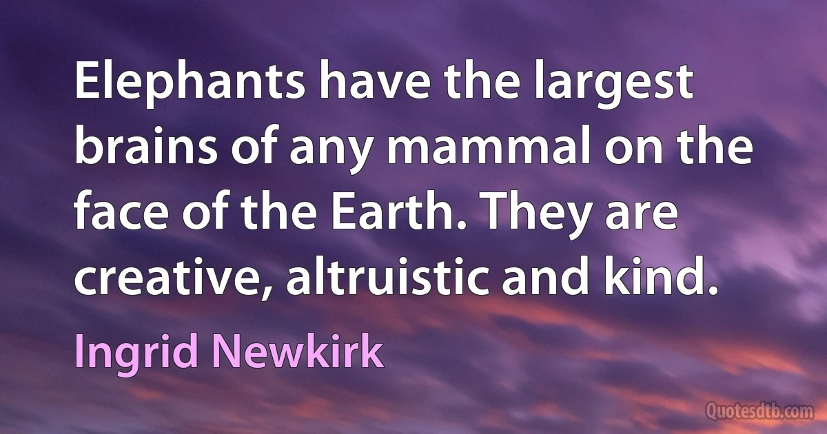 Elephants have the largest brains of any mammal on the face of the Earth. They are creative, altruistic and kind. (Ingrid Newkirk)