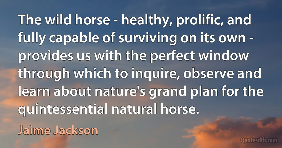 The wild horse - healthy, prolific, and fully capable of surviving on its own - provides us with the perfect window through which to inquire, observe and learn about nature's grand plan for the quintessential natural horse. (Jaime Jackson)