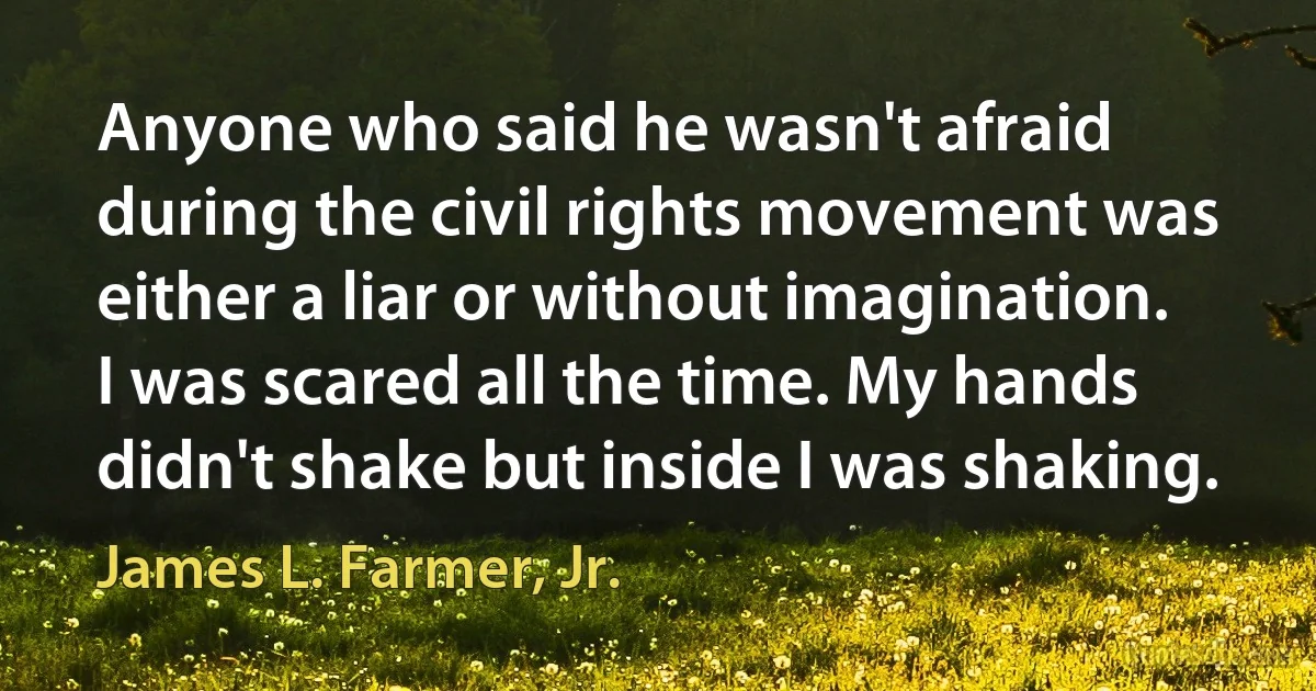 Anyone who said he wasn't afraid during the civil rights movement was either a liar or without imagination. I was scared all the time. My hands didn't shake but inside I was shaking. (James L. Farmer, Jr.)