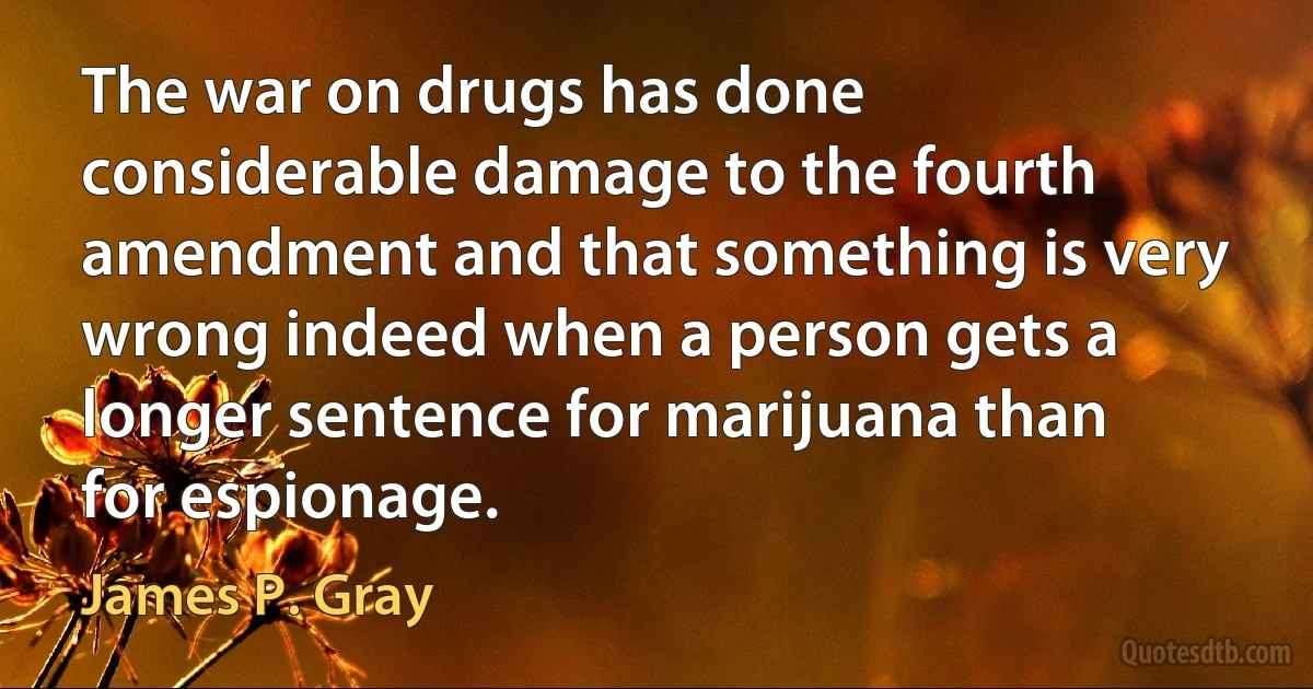 The war on drugs has done considerable damage to the fourth amendment and that something is very wrong indeed when a person gets a longer sentence for marijuana than for espionage. (James P. Gray)