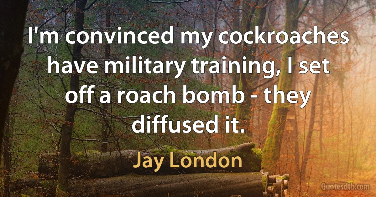 I'm convinced my cockroaches have military training, I set off a roach bomb - they diffused it. (Jay London)