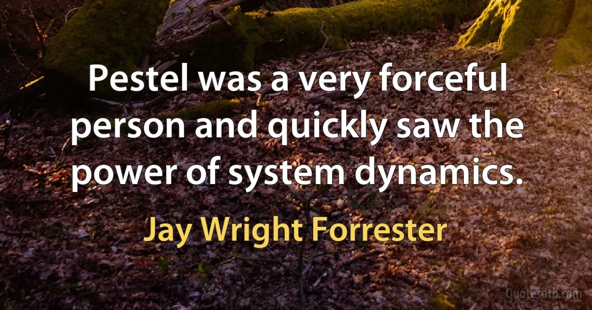 Pestel was a very forceful person and quickly saw the power of system dynamics. (Jay Wright Forrester)