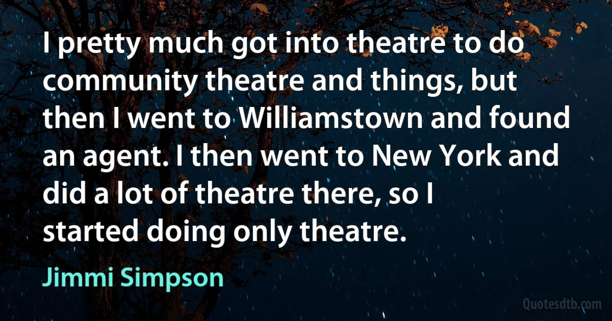 I pretty much got into theatre to do community theatre and things, but then I went to Williamstown and found an agent. I then went to New York and did a lot of theatre there, so I started doing only theatre. (Jimmi Simpson)