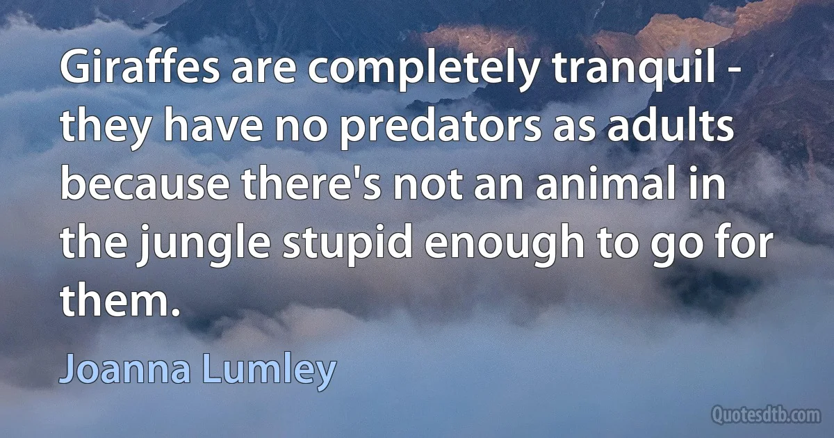 Giraffes are completely tranquil - they have no predators as adults because there's not an animal in the jungle stupid enough to go for them. (Joanna Lumley)