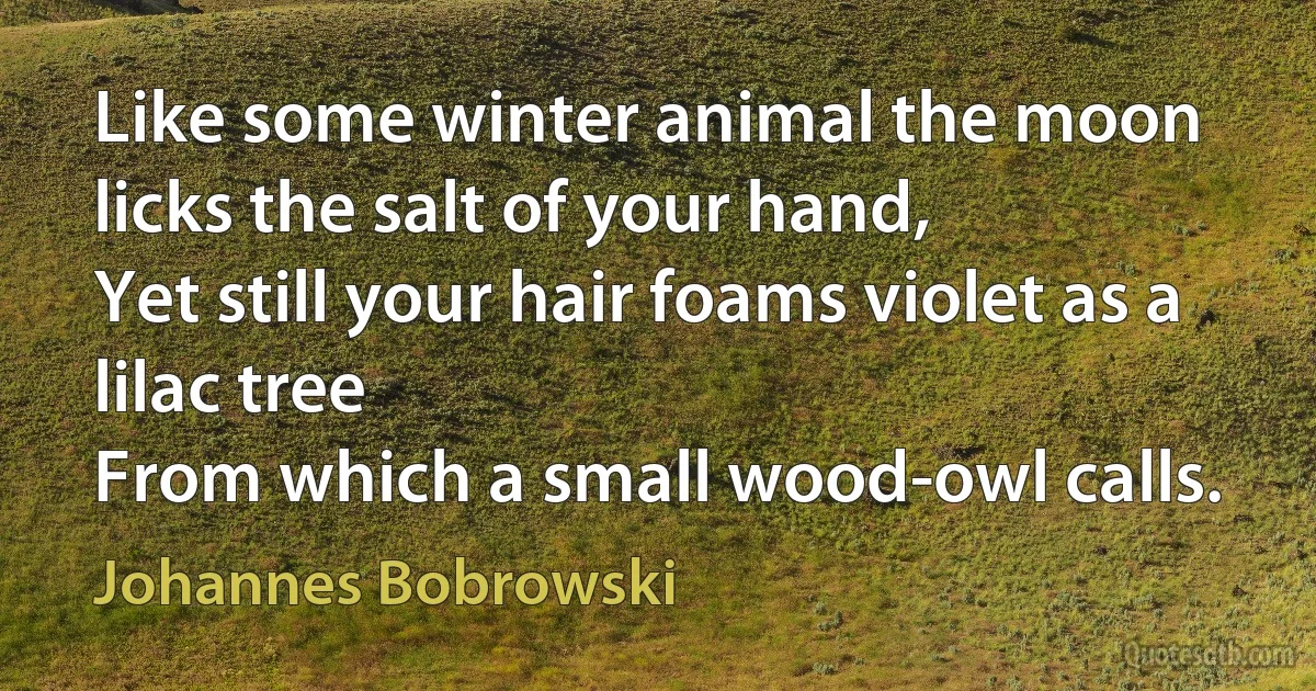 Like some winter animal the moon licks the salt of your hand,
Yet still your hair foams violet as a lilac tree
From which a small wood-owl calls. (Johannes Bobrowski)