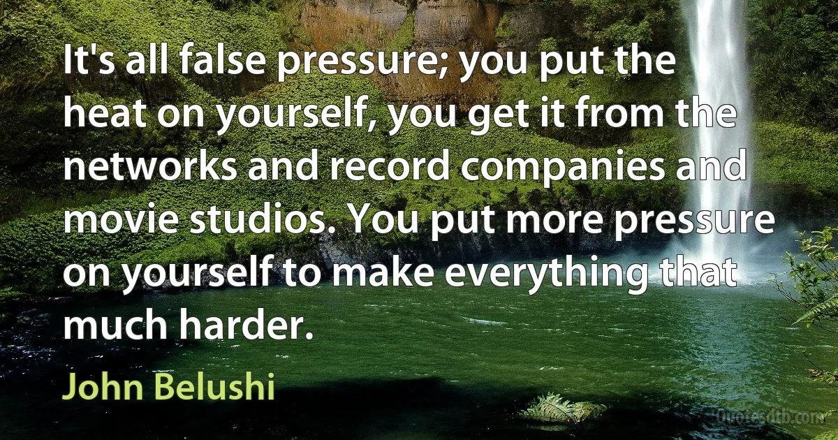 It's all false pressure; you put the heat on yourself, you get it from the networks and record companies and movie studios. You put more pressure on yourself to make everything that much harder. (John Belushi)