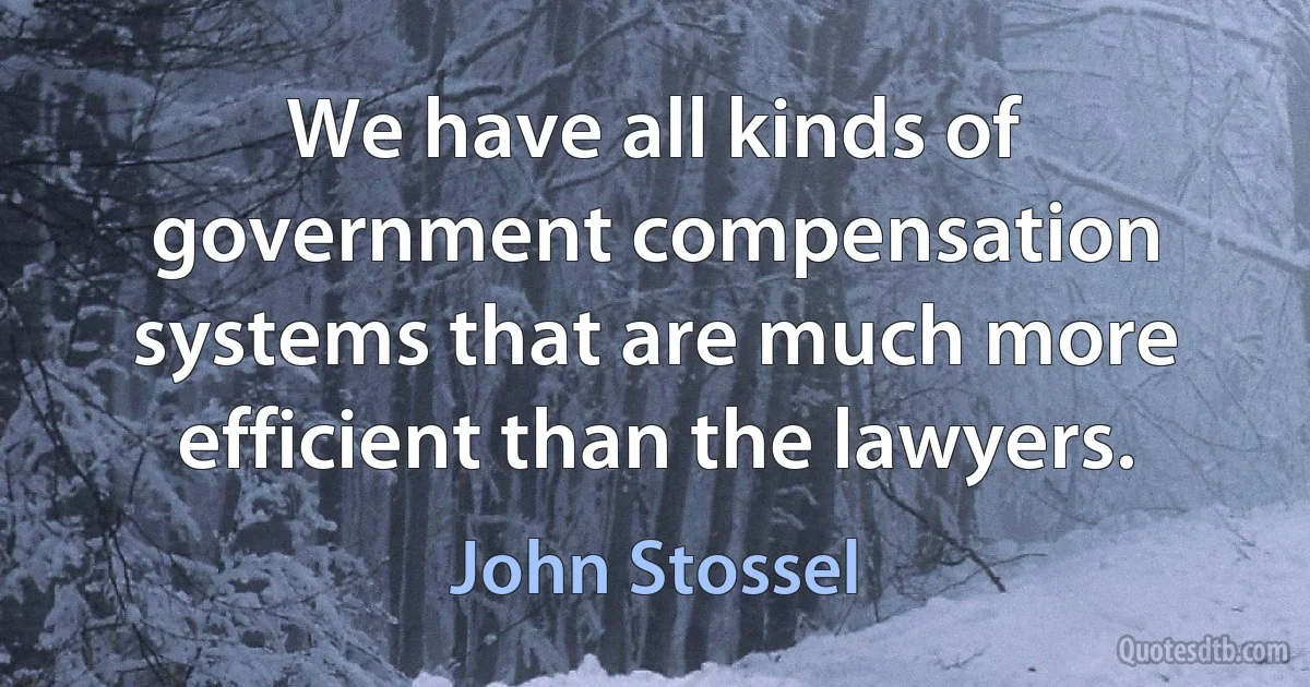 We have all kinds of government compensation systems that are much more efficient than the lawyers. (John Stossel)