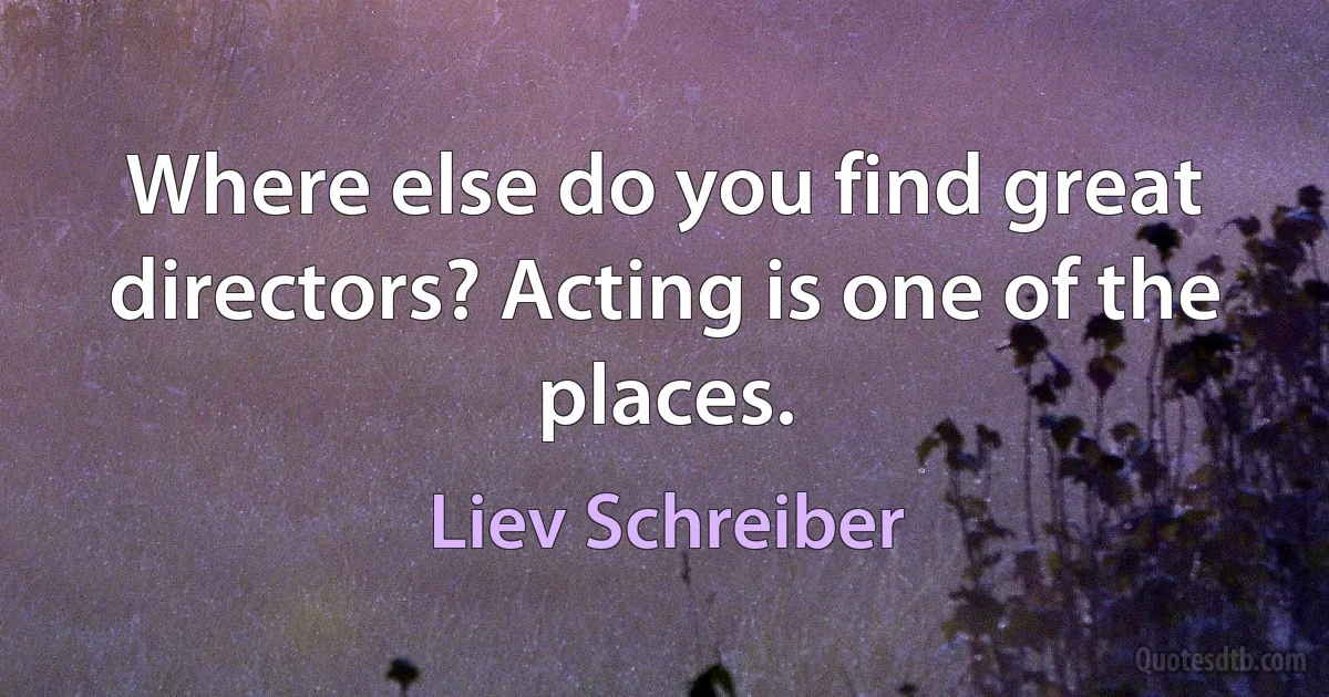 Where else do you find great directors? Acting is one of the places. (Liev Schreiber)