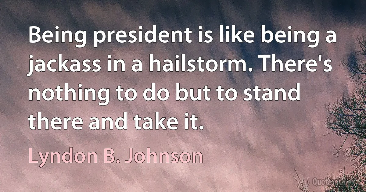 Being president is like being a jackass in a hailstorm. There's nothing to do but to stand there and take it. (Lyndon B. Johnson)