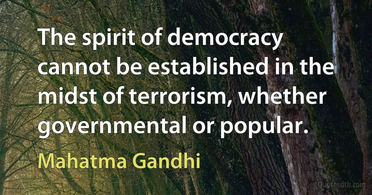 The spirit of democracy cannot be established in the midst of terrorism, whether governmental or popular. (Mahatma Gandhi)