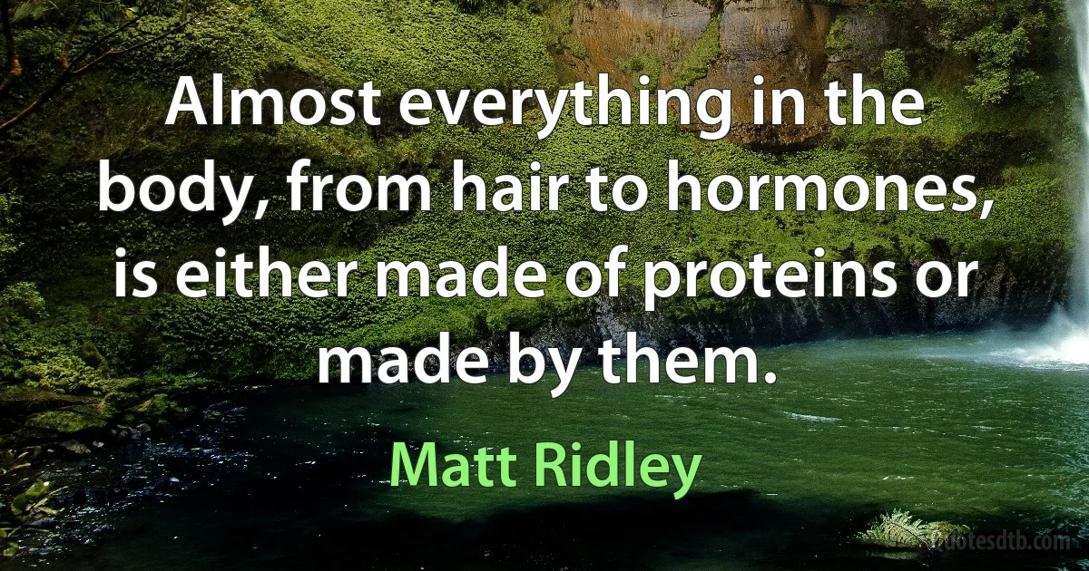 Almost everything in the body, from hair to hormones, is either made of proteins or made by them. (Matt Ridley)