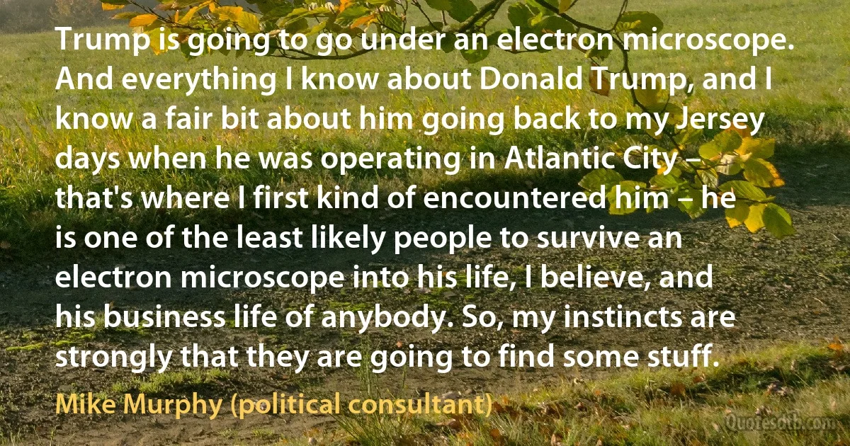 Trump is going to go under an electron microscope. And everything I know about Donald Trump, and I know a fair bit about him going back to my Jersey days when he was operating in Atlantic City – that's where I first kind of encountered him – he is one of the least likely people to survive an electron microscope into his life, I believe, and his business life of anybody. So, my instincts are strongly that they are going to find some stuff. (Mike Murphy (political consultant))