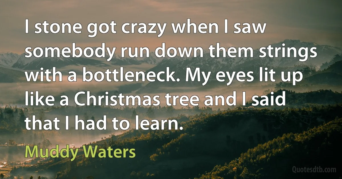 I stone got crazy when I saw somebody run down them strings with a bottleneck. My eyes lit up like a Christmas tree and I said that I had to learn. (Muddy Waters)