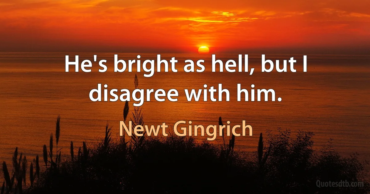 He's bright as hell, but I disagree with him. (Newt Gingrich)