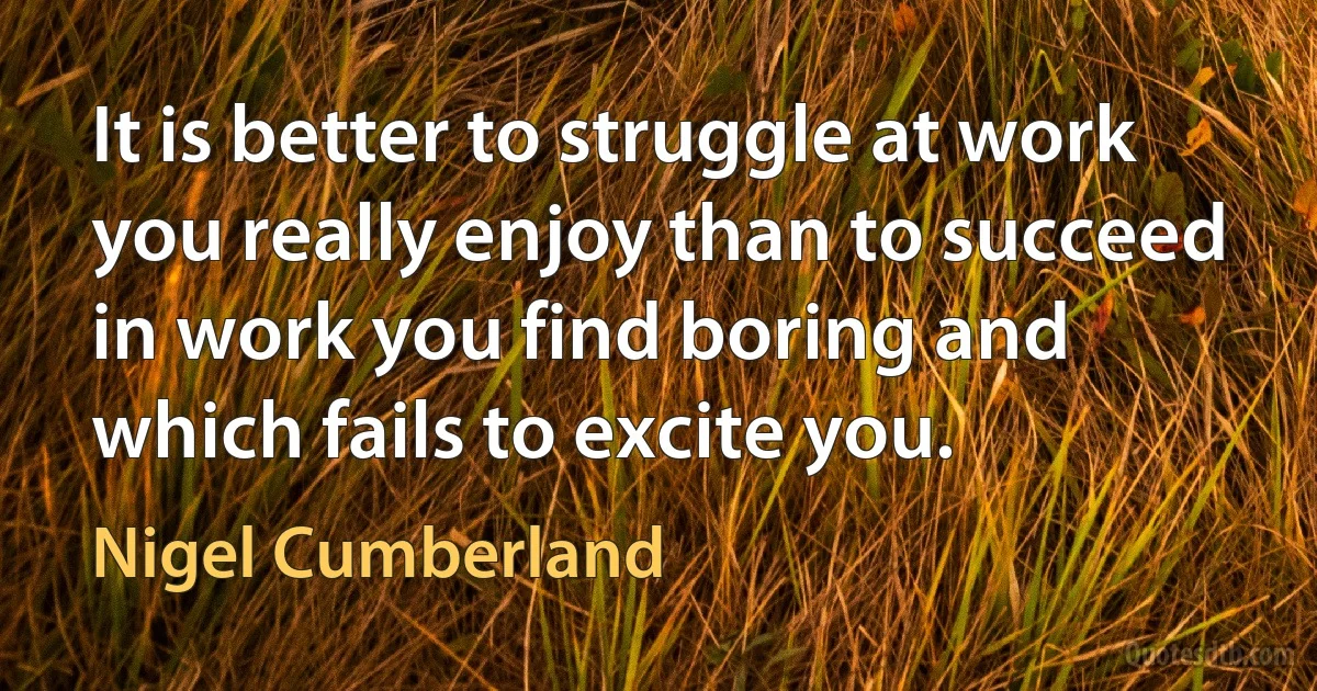 It is better to struggle at work you really enjoy than to succeed in work you find boring and which fails to excite you. (Nigel Cumberland)