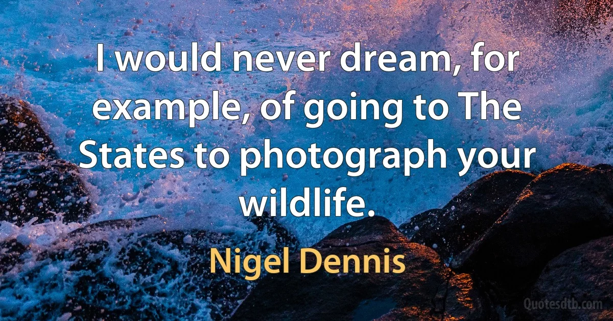 I would never dream, for example, of going to The States to photograph your wildlife. (Nigel Dennis)