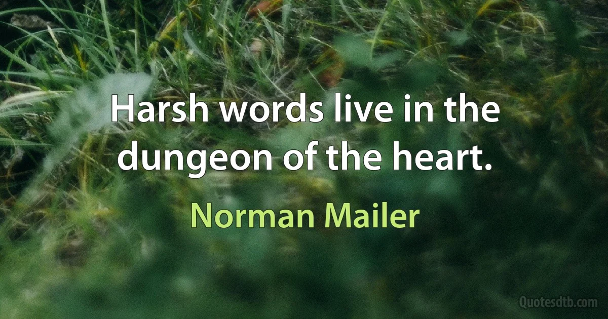 Harsh words live in the dungeon of the heart. (Norman Mailer)