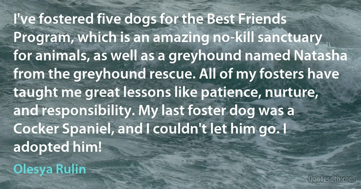 I've fostered five dogs for the Best Friends Program, which is an amazing no-kill sanctuary for animals, as well as a greyhound named Natasha from the greyhound rescue. All of my fosters have taught me great lessons like patience, nurture, and responsibility. My last foster dog was a Cocker Spaniel, and I couldn't let him go. I adopted him! (Olesya Rulin)