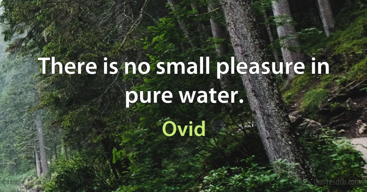 There is no small pleasure in pure water. (Ovid)