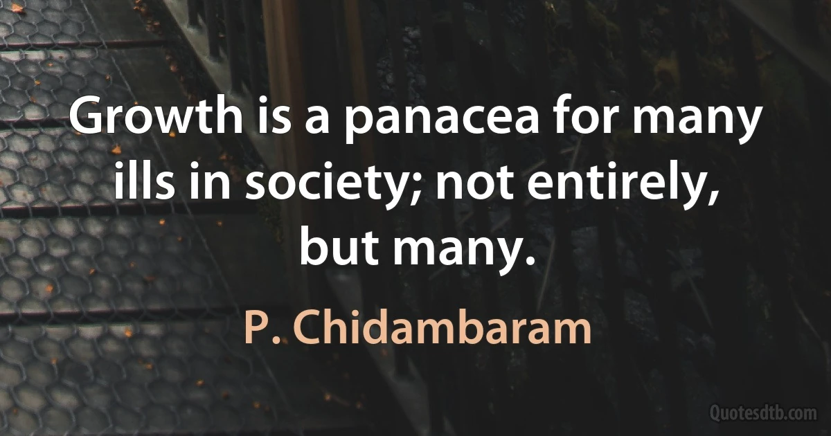 Growth is a panacea for many ills in society; not entirely, but many. (P. Chidambaram)