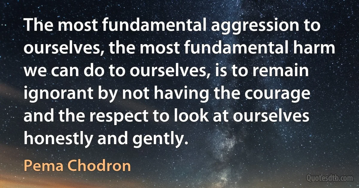 The most fundamental aggression to ourselves, the most fundamental harm we can do to ourselves, is to remain ignorant by not having the courage and the respect to look at ourselves honestly and gently. (Pema Chodron)