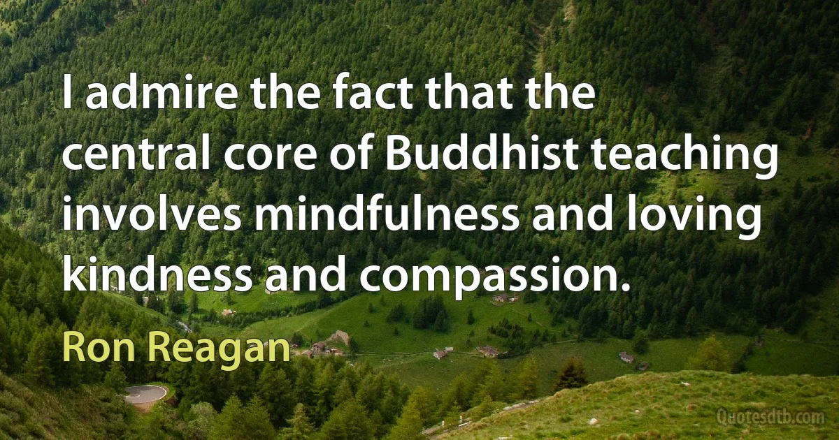 I admire the fact that the central core of Buddhist teaching involves mindfulness and loving kindness and compassion. (Ron Reagan)