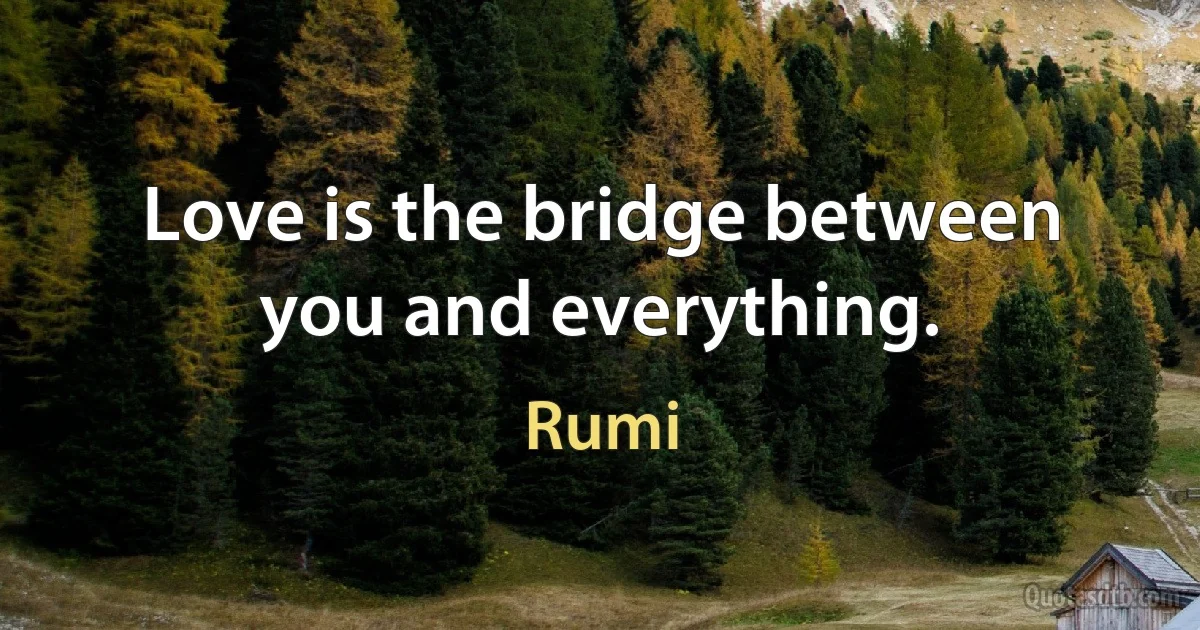 Love is the bridge between you and everything. (Rumi)