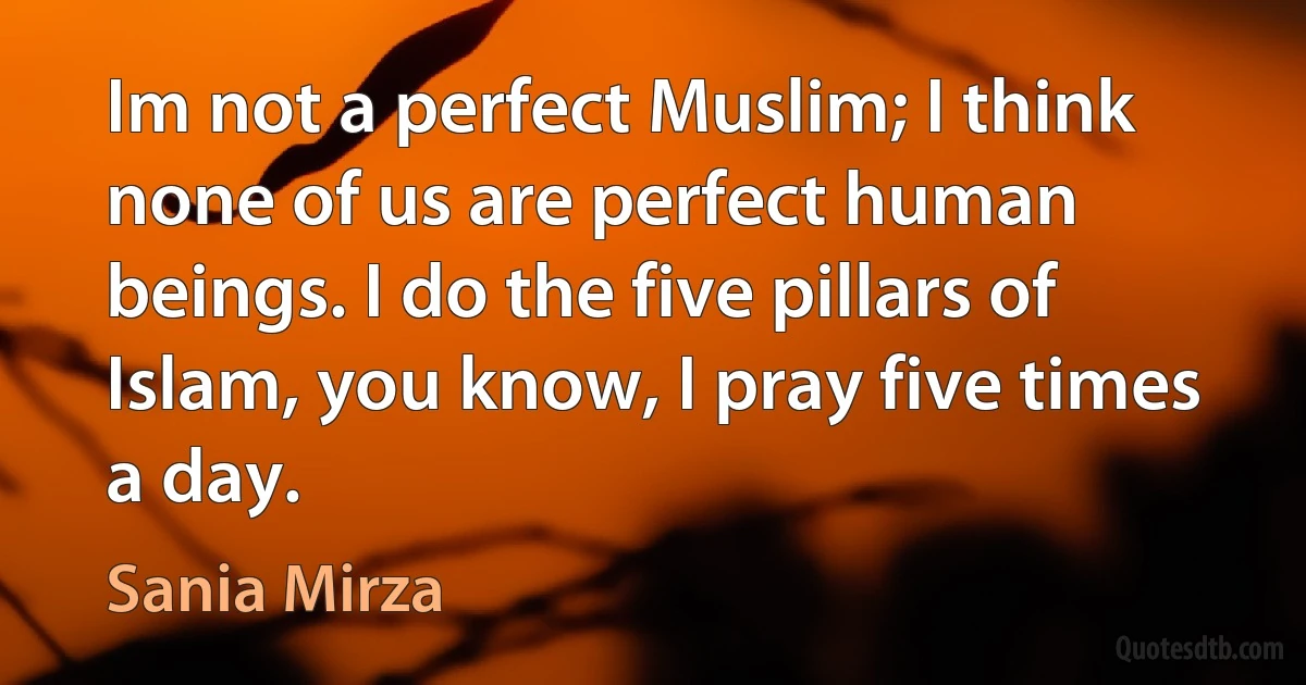 Im not a perfect Muslim; I think none of us are perfect human beings. I do the five pillars of Islam, you know, I pray five times a day. (Sania Mirza)