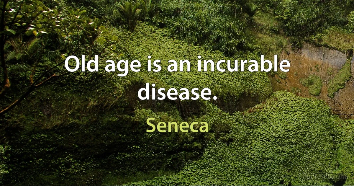 Old age is an incurable disease. (Seneca)