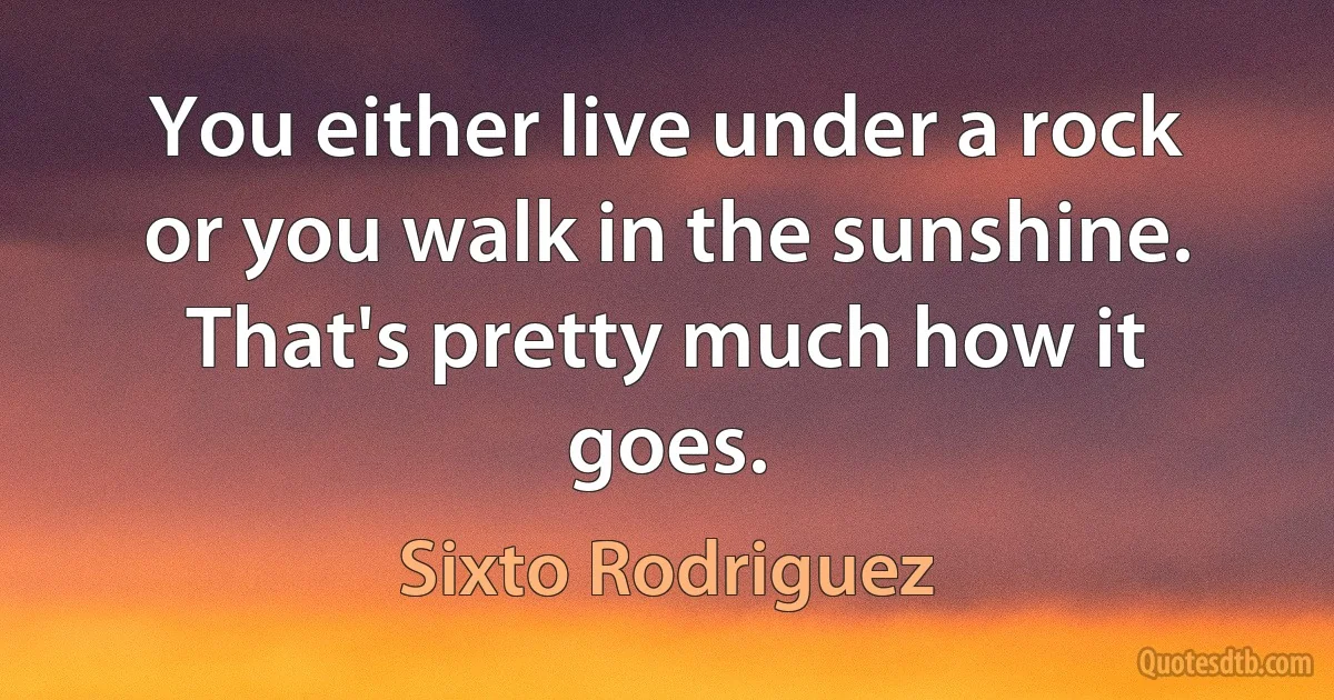 You either live under a rock or you walk in the sunshine. That's pretty much how it goes. (Sixto Rodriguez)